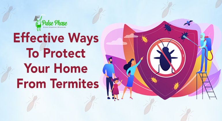 Effective Ways to Protect Your Home from Termites